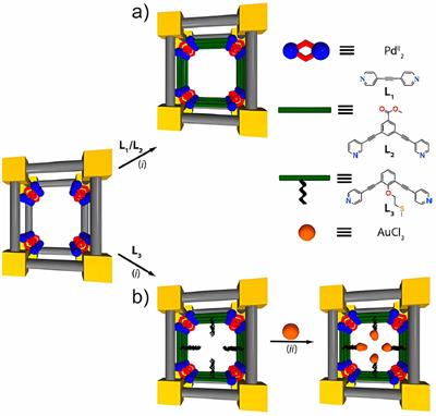 Supramolecular systems and their connection with metal–organic structures